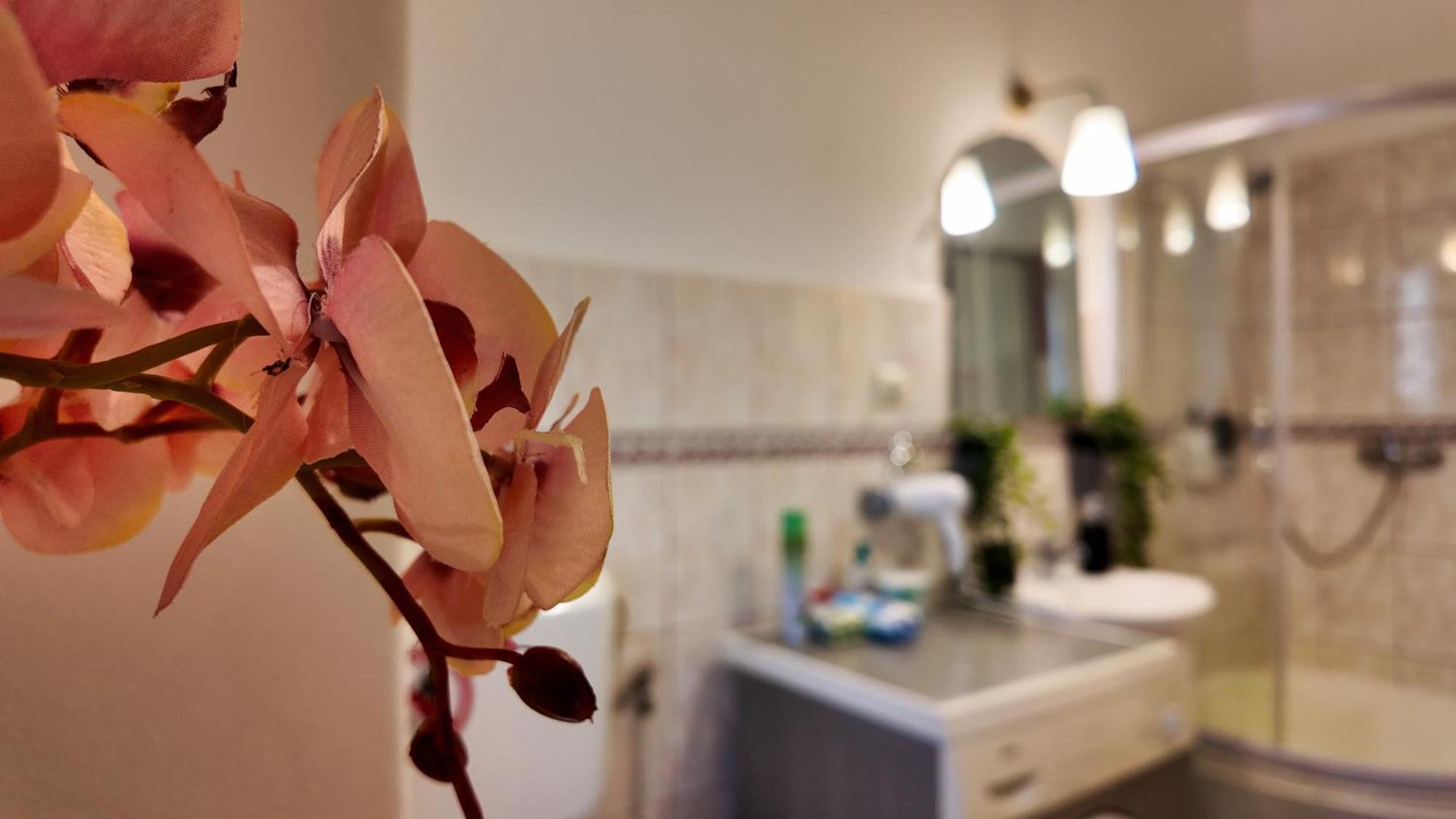 Intimo Oldtown Romantic Apartment Braşov Dış mekan fotoğraf